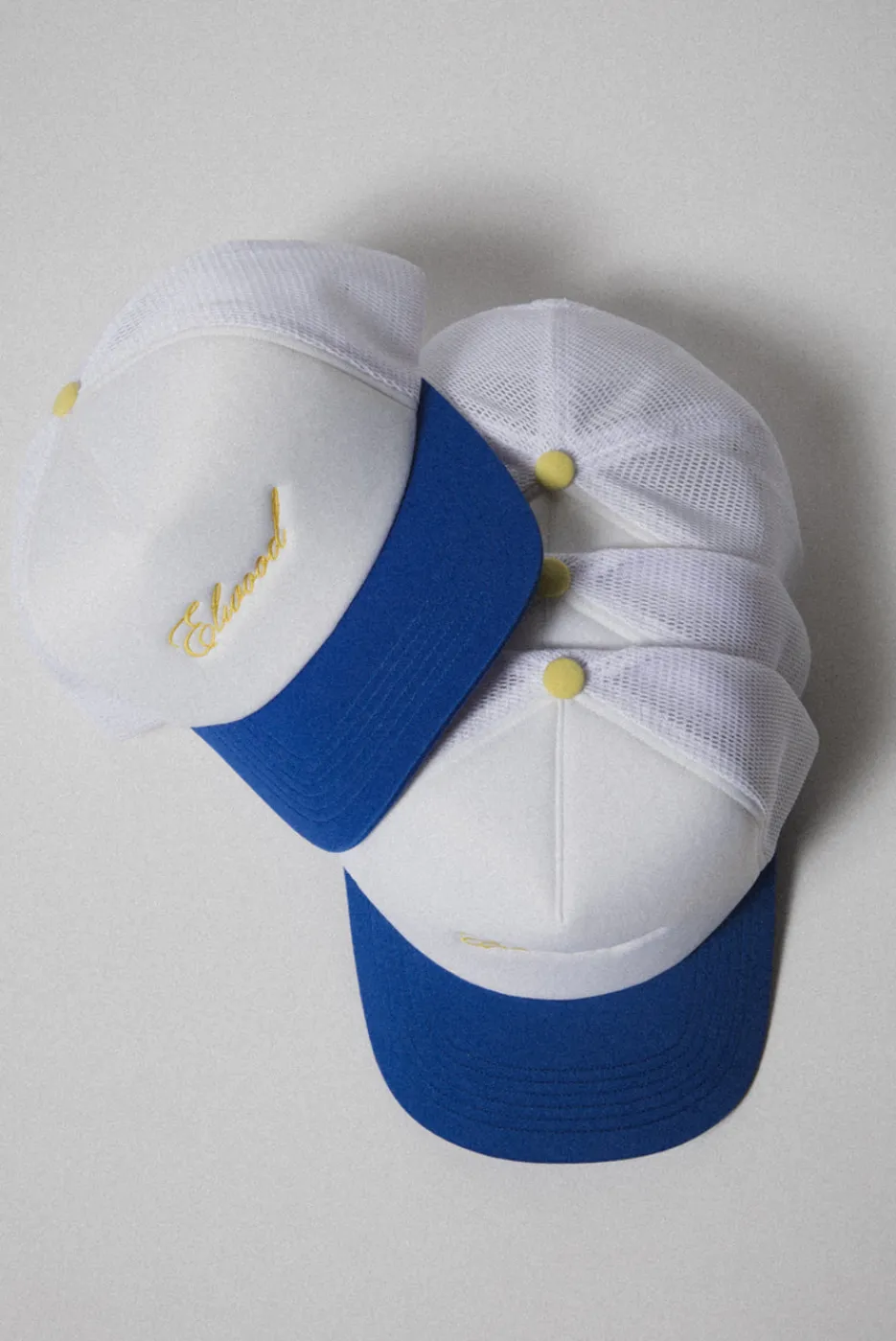 Elwood Clothing SCRIPT TRUCKER HAT