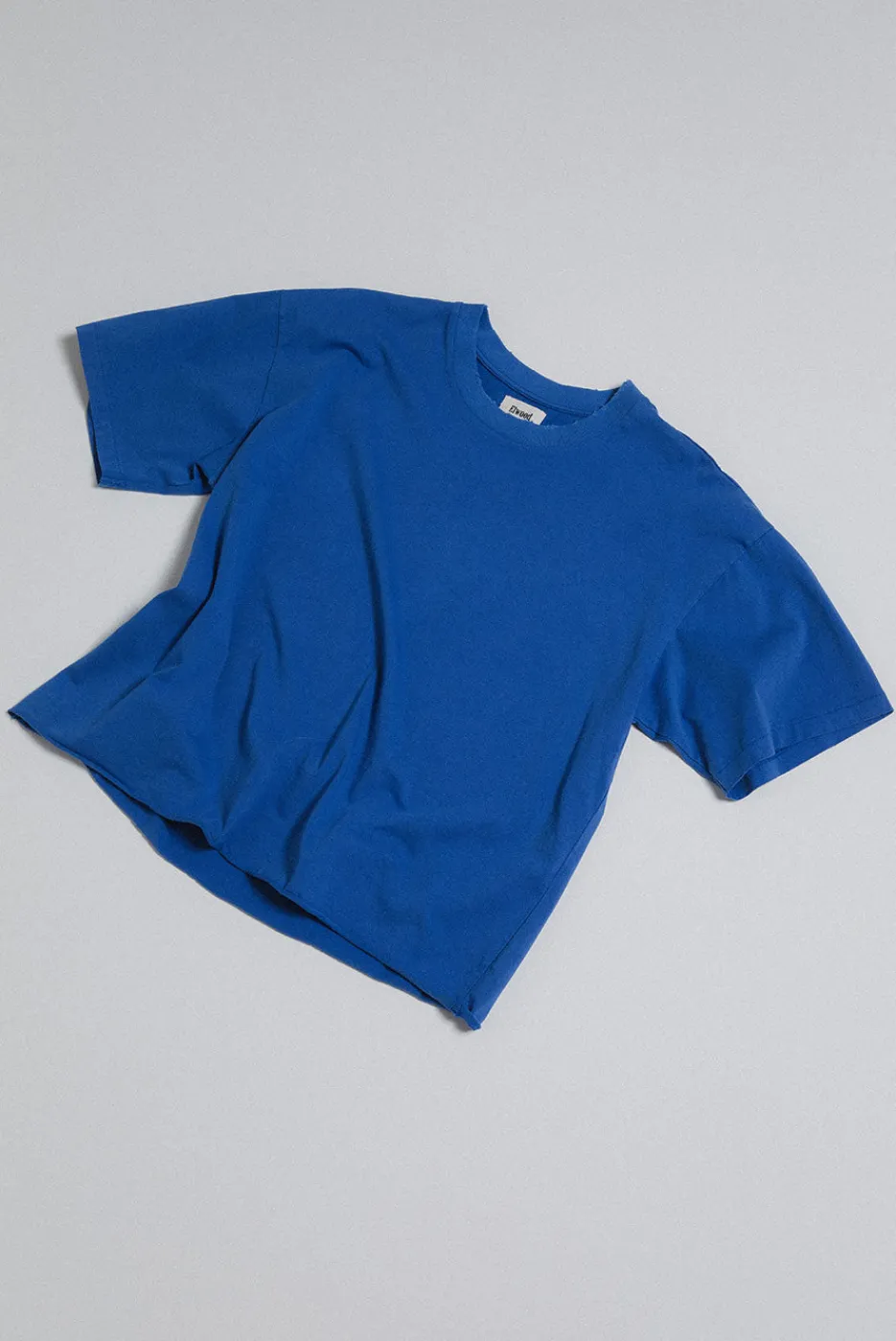 Elwood Clothing OVERSIZED CROP CORE TEE